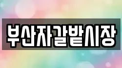 부산자갈밭시장