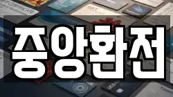 중앙환전