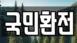국민환전