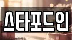스타포드인