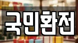 국민환전