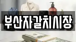 부산자갈치시장
