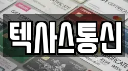 텍사스통신