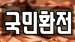 국민환전