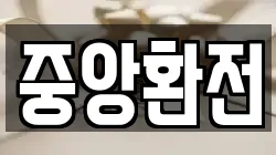 중앙환전