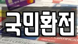 국민환전