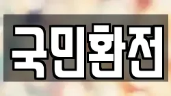 국민환전