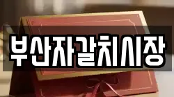 부산자갈치시장