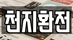 천지환전