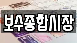보수종합시장
