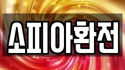 소피아환전