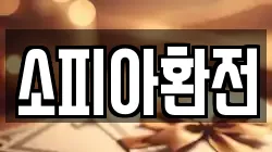 소피아환전