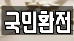 국민환전