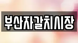 부산자갈치시장