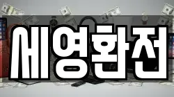 세영환전