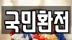 국민환전