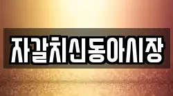 자갈치신동아시장