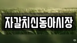 자갈치신동아시장