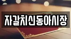 자갈치신동아시장