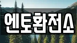 엔토환전소