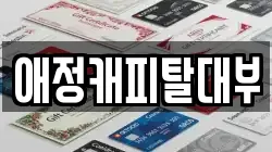 애정캐피탈대부