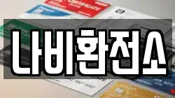 나비환전소