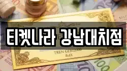 티켓나라 강남대치점