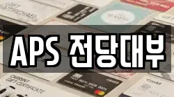 APS 전당대부