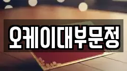 오케이대부문정