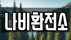 나비환전소