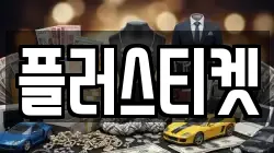 플러스티켓