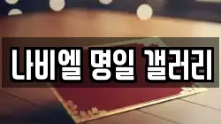 나비엘 명일 갤러리