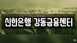 신한은행 강동금융센터