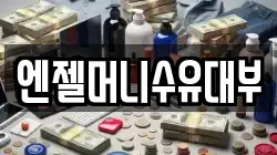 엔젤머니수유대부