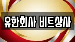 유한회사 비트상사