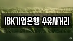 IBK기업은행 수유사거리