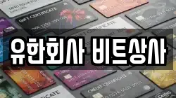 유한회사 비트상사