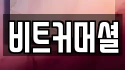비트커머셜