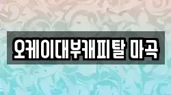 오케이대부캐피탈 마곡