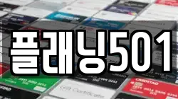 플래닝501