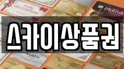 스카이상품권