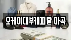 오케이대부캐피탈 마곡