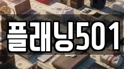 플래닝501