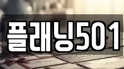 플래닝501