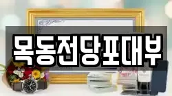 목동전당포대부