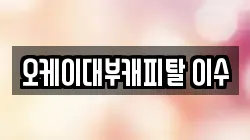 오케이대부캐피탈 이수
