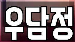 우담정