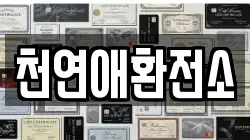 천연애환전소