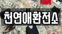 천연애환전소