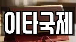 이타국제